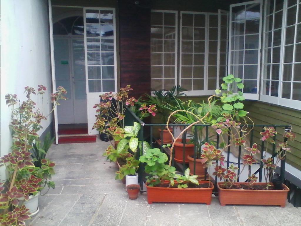 Hospedaria Jomafreitas Guest House Ponta Delgada  Exterior photo